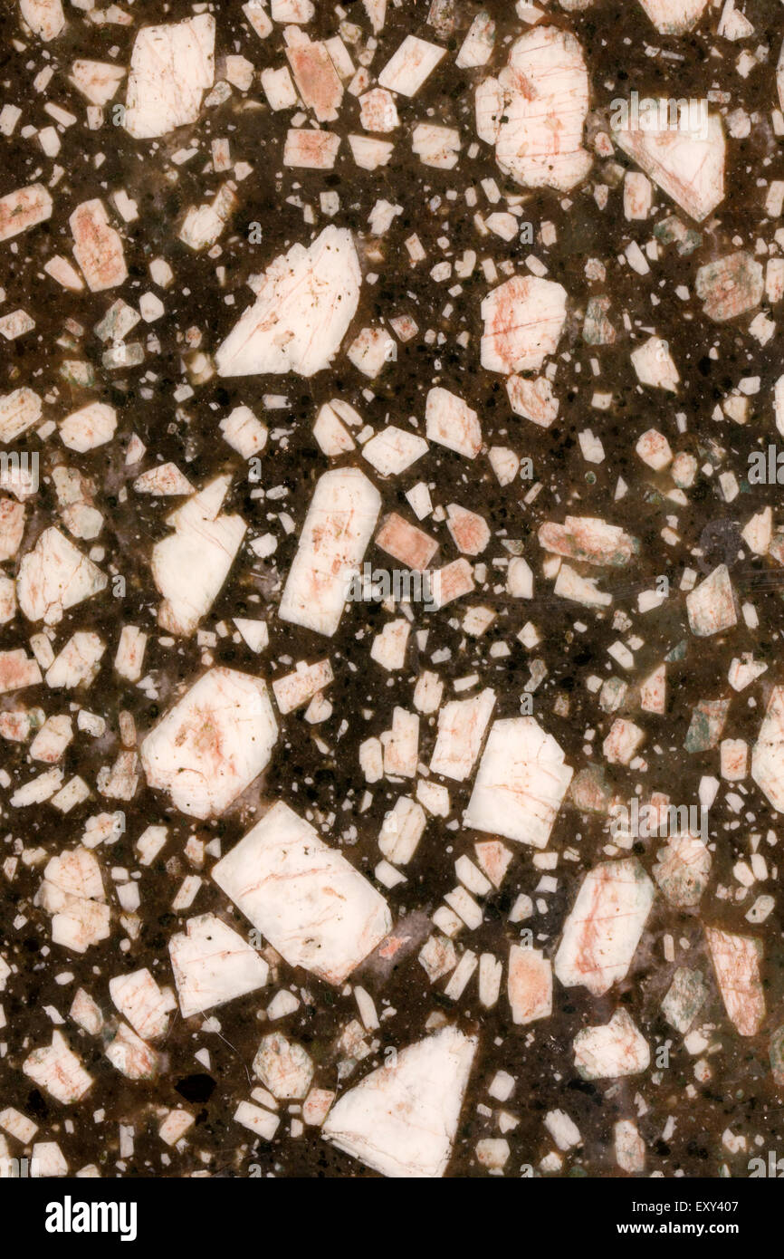 Bannockburn (Porphyre Porphyre Matachewan), montrant phénocristaux de feldspath dans une matrice mafique de roche ignée, Canada Banque D'Images