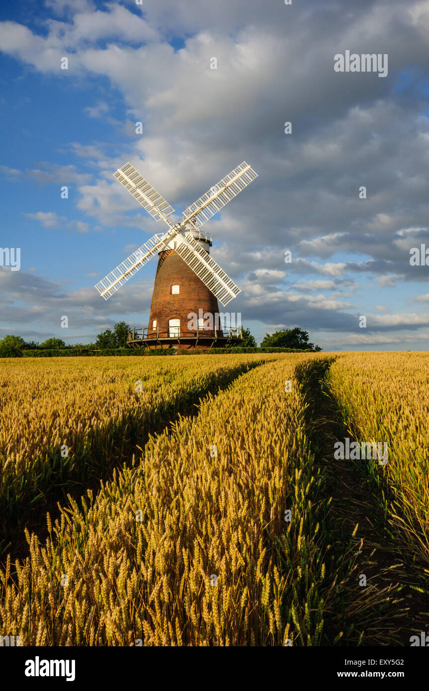 Thaxted Moulin, Essex, Angleterre, Royaume-Uni Banque D'Images