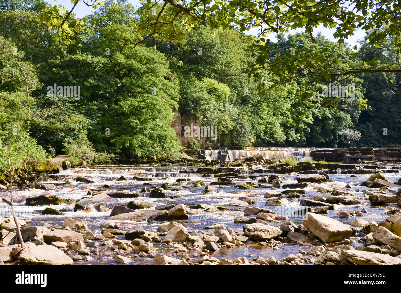 Cascade de la rivière Swale à Richmond, North Yorkshire Banque D'Images