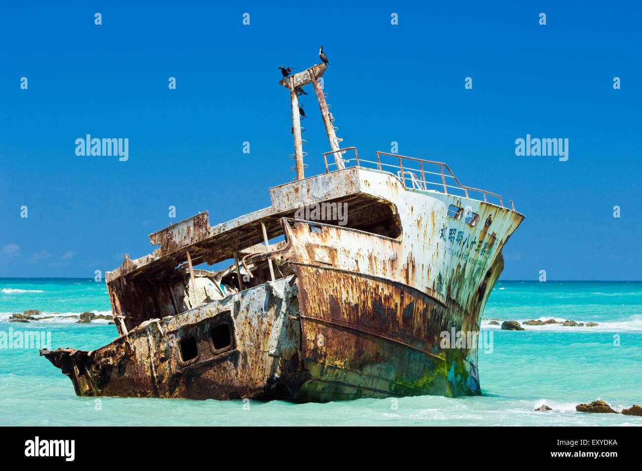 Naufrage du Meisho Maru 38 au Cap des aiguilles sur une claire,calme, journée ensoleillée. Banque D'Images