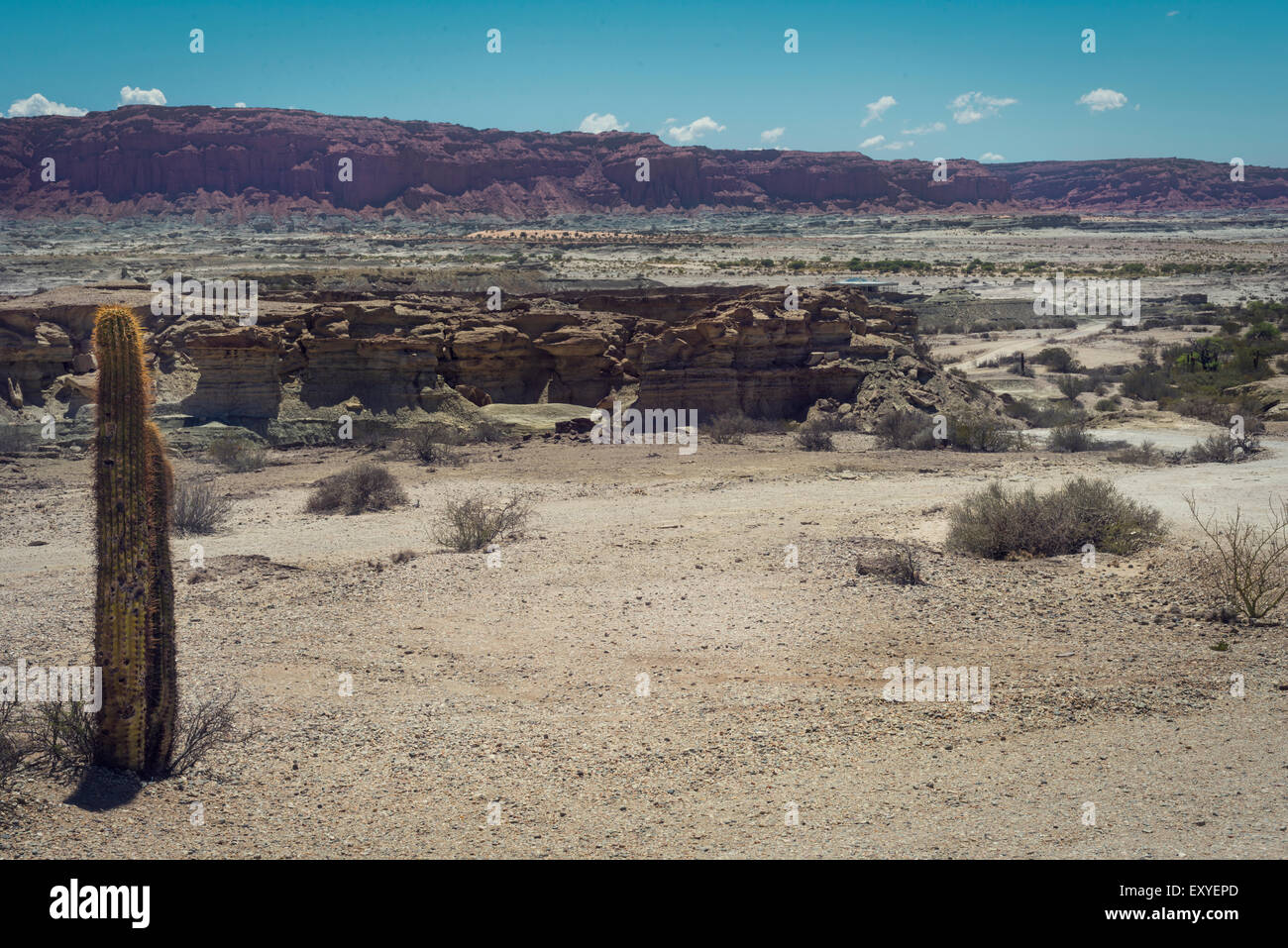 Le Parc Provincial Ischigualasto, Valle de la Luna (vallée de la Lune) Banque D'Images