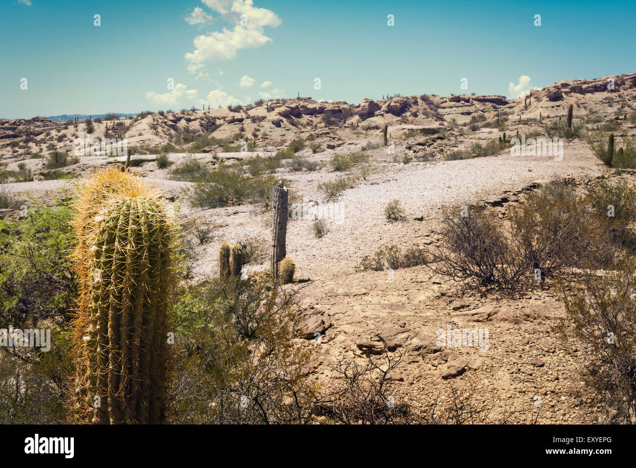 Le Parc Provincial Ischigualasto, Valle de la Luna (vallée de la Lune) Banque D'Images