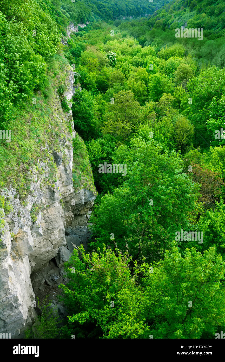 Les murs de canyon en vue de l'Ukraine, ville Kamyanets-Podilskyi Banque D'Images