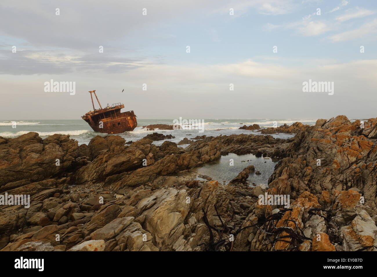 Naufrage du Meisho maru (un bateau de pêche japonais) au large de la côte de l'Afrique du Sud, à proximité de Cape Agulhas, vue au lever du soleil Banque D'Images