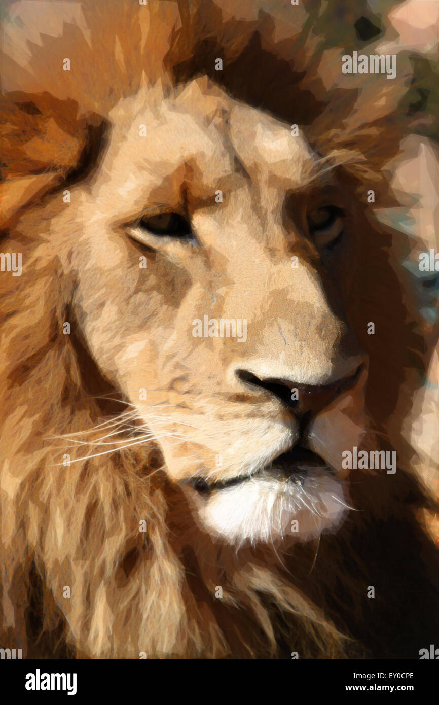 Abstract Close-up grande peinture de visage Lion Banque D'Images