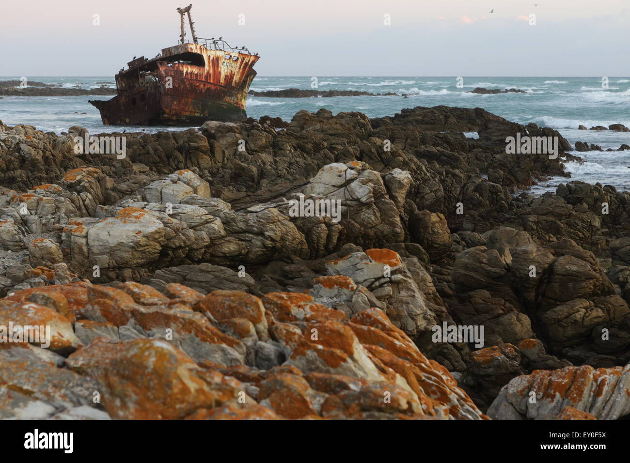 Naufrage du Meisho maru (un bateau de pêche japonais) au large de la côte de l'Afrique du Sud, à proximité de Cape Agulhas, vue au coucher du soleil Banque D'Images