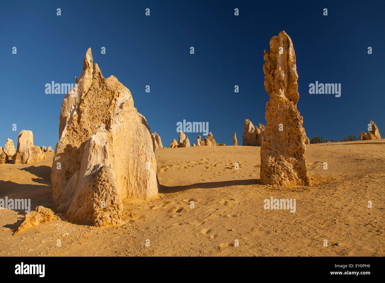 Rock formations dans le Désert des Pinnacles de l'ouest de l'Australie. Banque D'Images