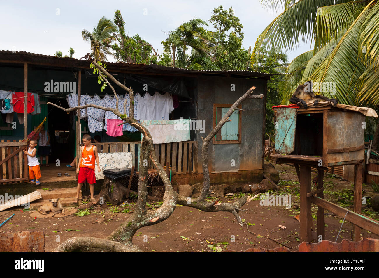 Famille et animaux singe à Big Corn Island, au Nicaragua Banque D'Images