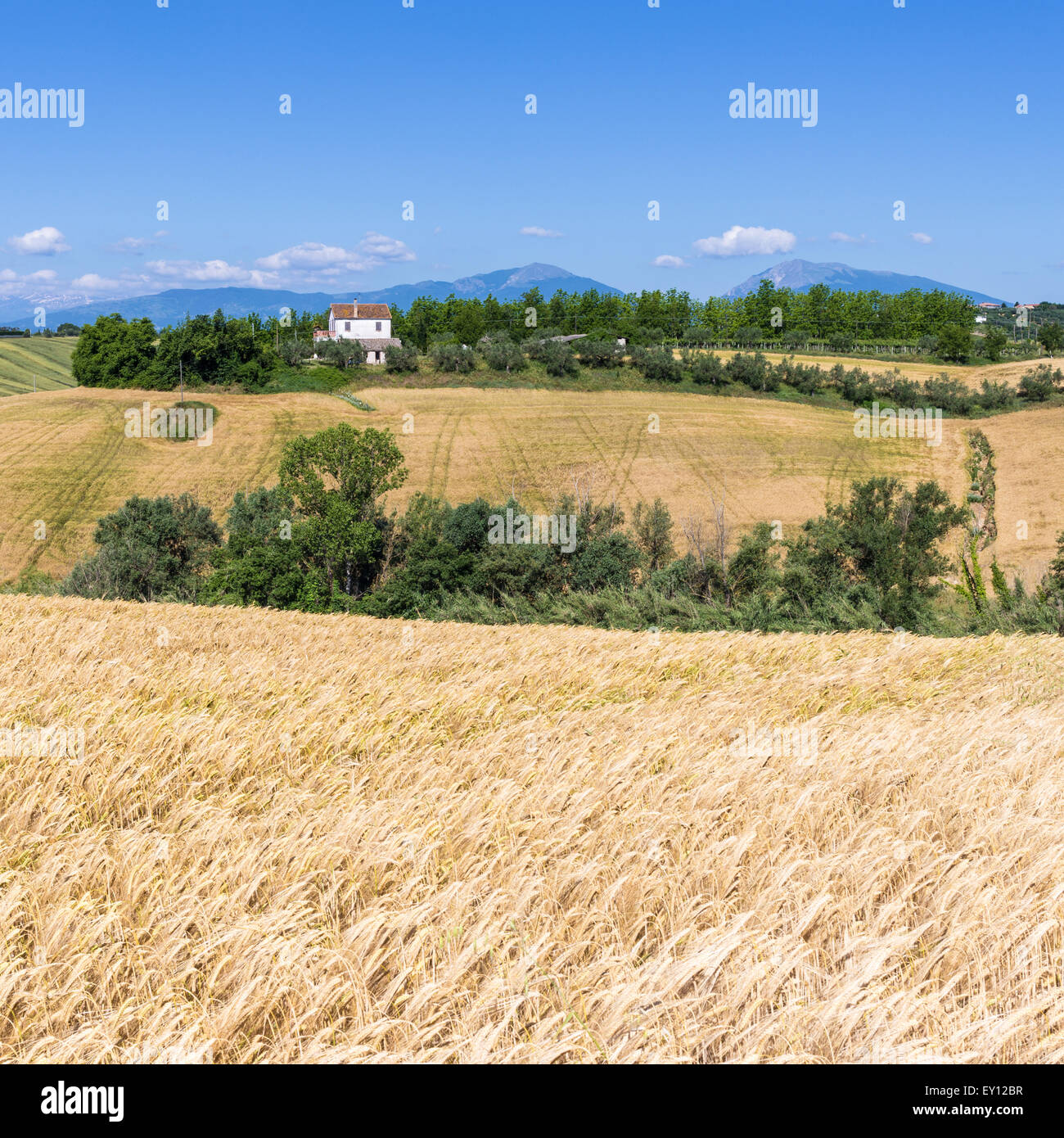 Les collines des Abruzzes Banque D'Images