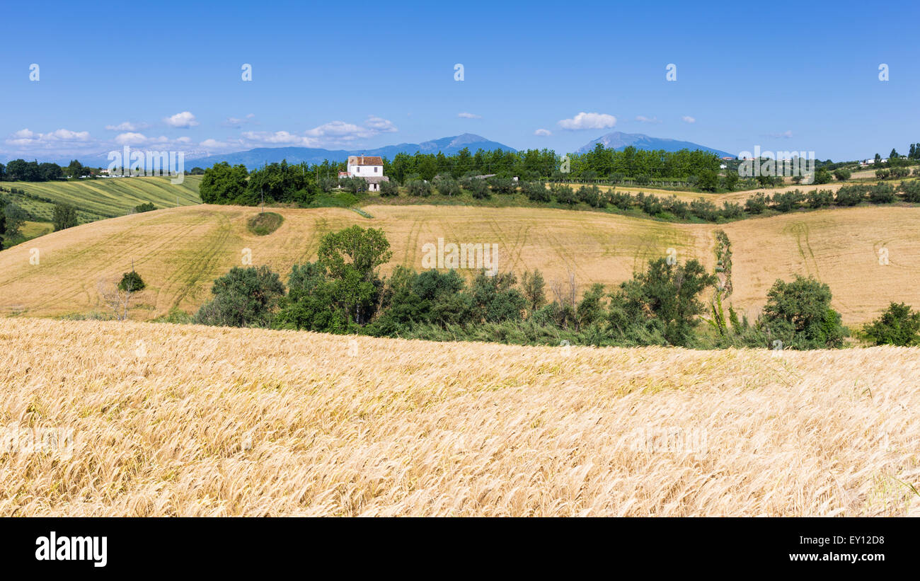 Les collines des Abruzzes Banque D'Images