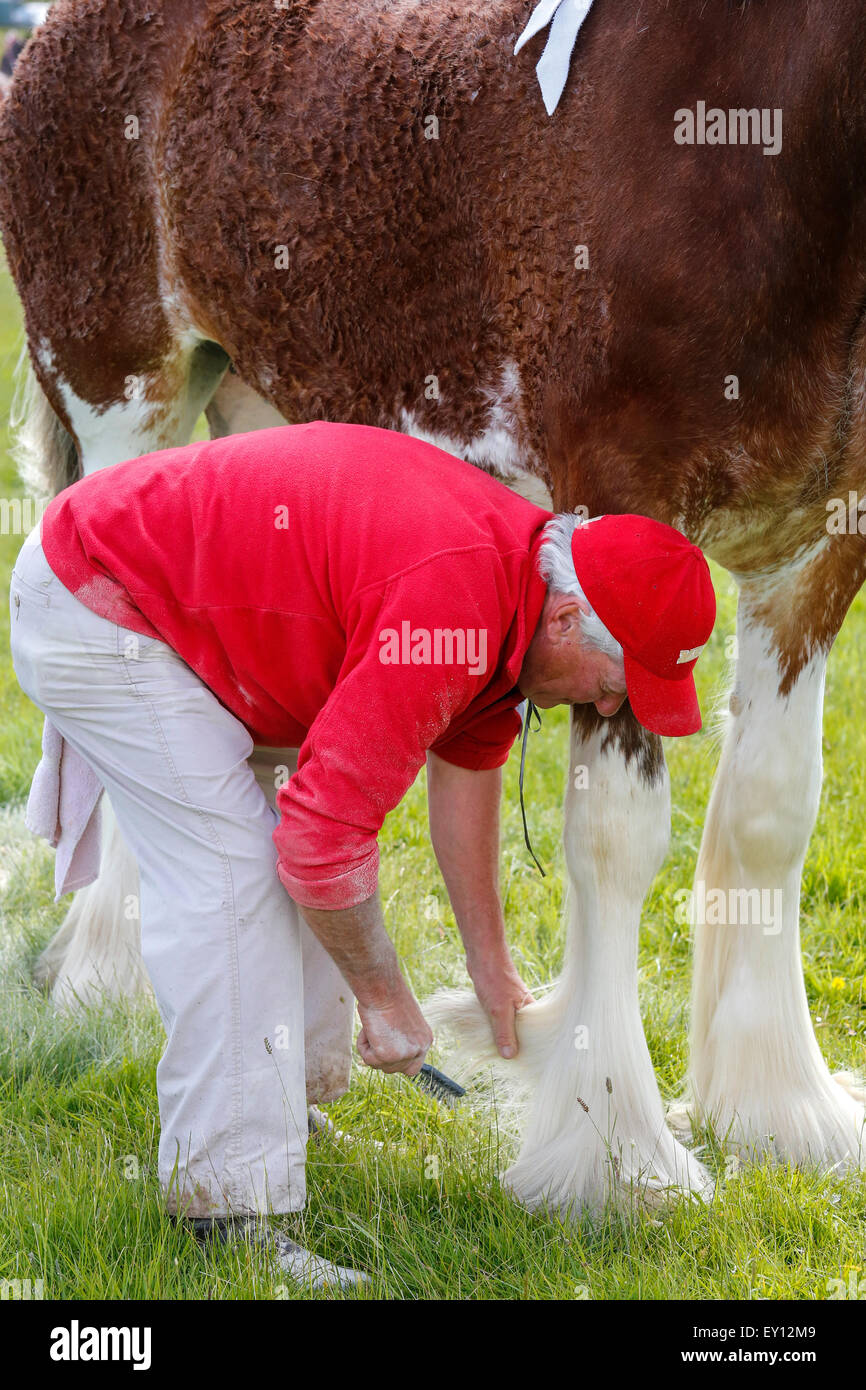 Malgré les récentes intempéries et de fortes pluies, de nombreux concurrents de l'Écosse s'appuyer et participer à l'assemblée annuelle du Salon du cheval lourd au Museum of Country Life, East Kilbride, près de Glasgow, en Écosse. Banque D'Images