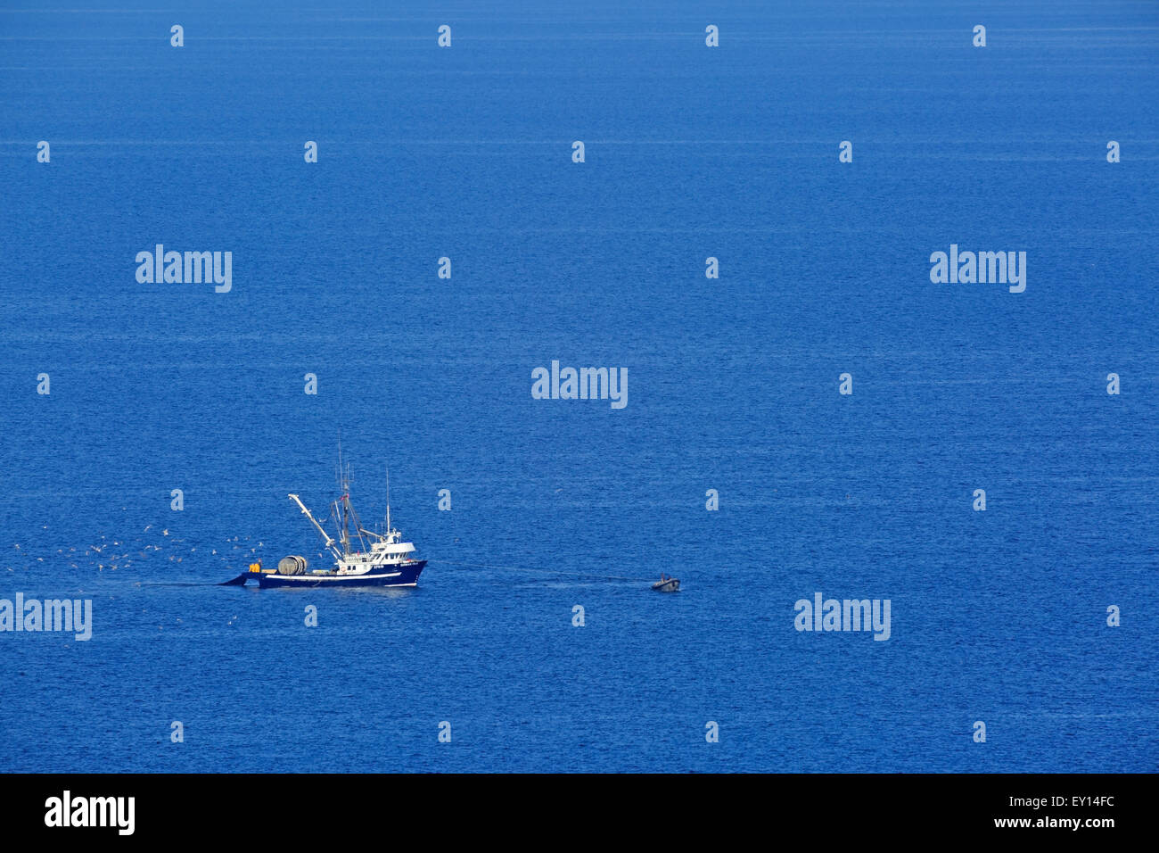 La pêche commerciale de senneurs de hareng, le détroit de Géorgie près de Nanaimo, île de Vancouver, Colombie-Britannique Banque D'Images