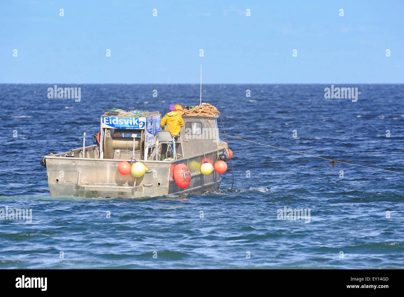 La pêche commerciale du hareng fraye près de Nanaimo, île de Vancouver, Colombie-Britannique Banque D'Images