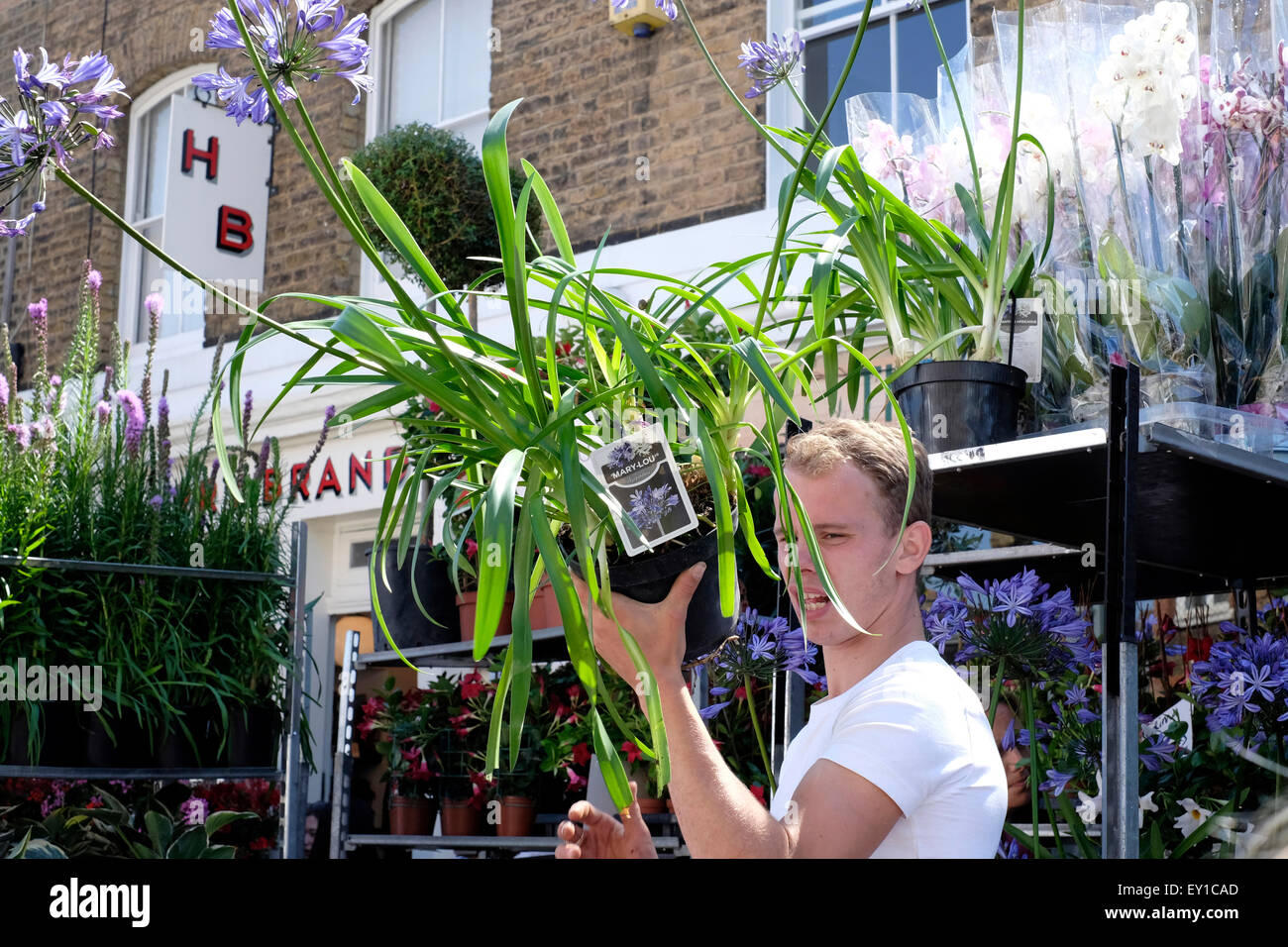 Un vendeur est titulaire d'un pot de plantes dans Columbia Road Flower Market Banque D'Images