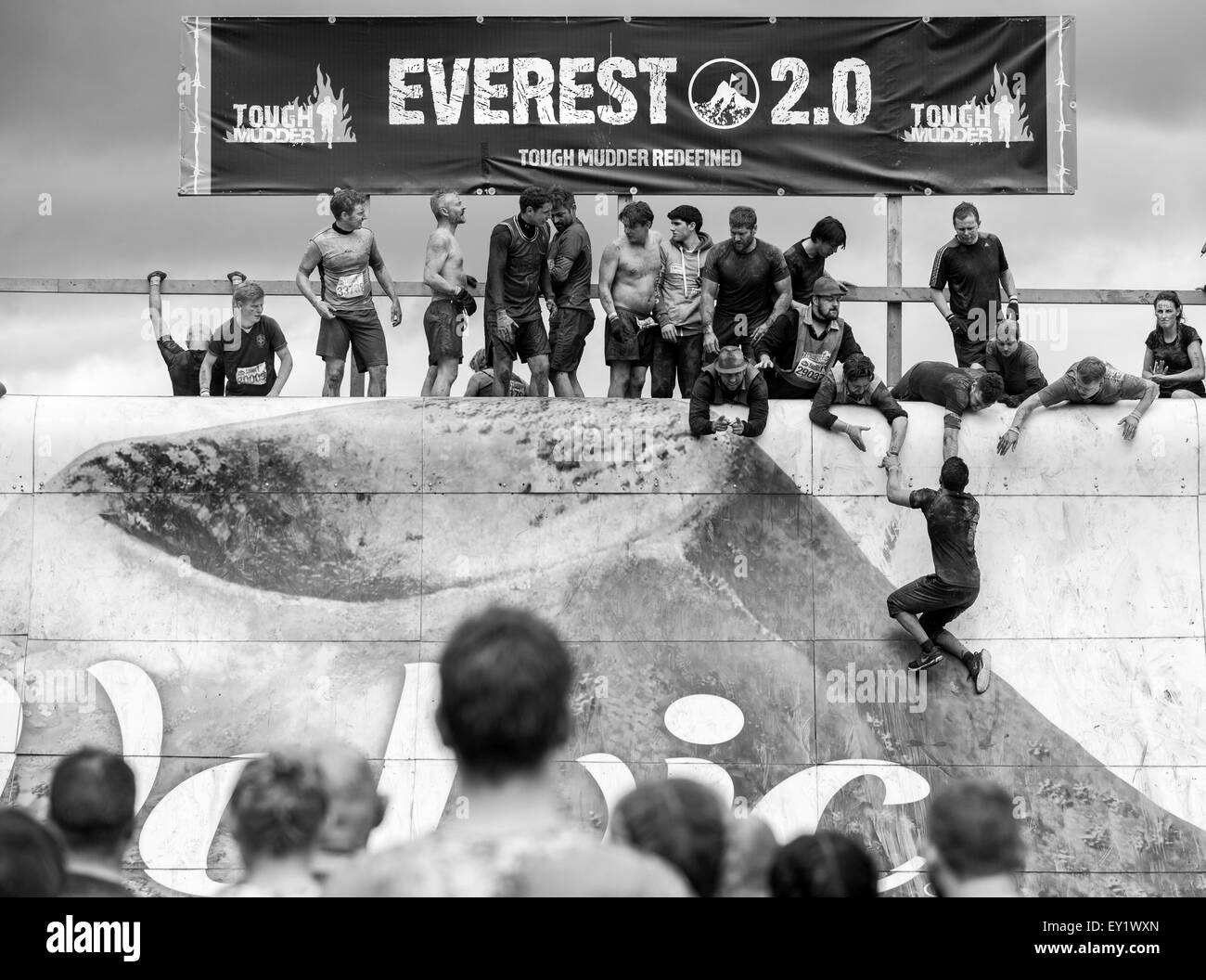 Les concurrents participent à la Tough Mudder Ecosse au château de Drumlanrig le 21 juin 2015 à Dumfries et Galloway, en Écosse. Banque D'Images