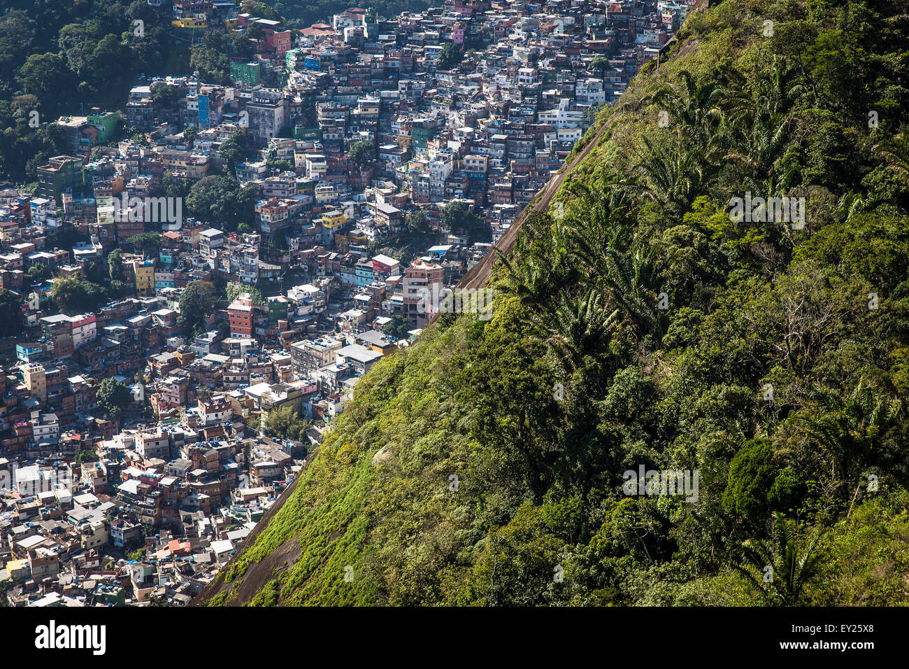 Vue aérienne des arbres et encombré, favela de Rio de Janeiro, Brésil Banque D'Images