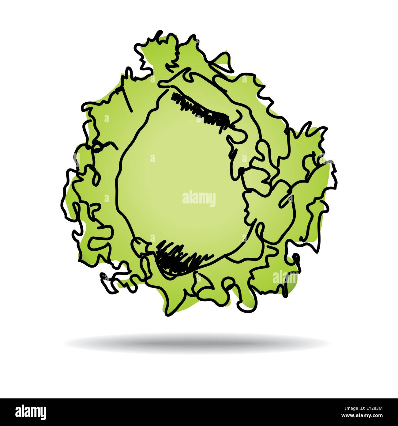 Dessin à main levée de l'icône de la laitue iceberg - vector illustration eps 10 Illustration de Vecteur