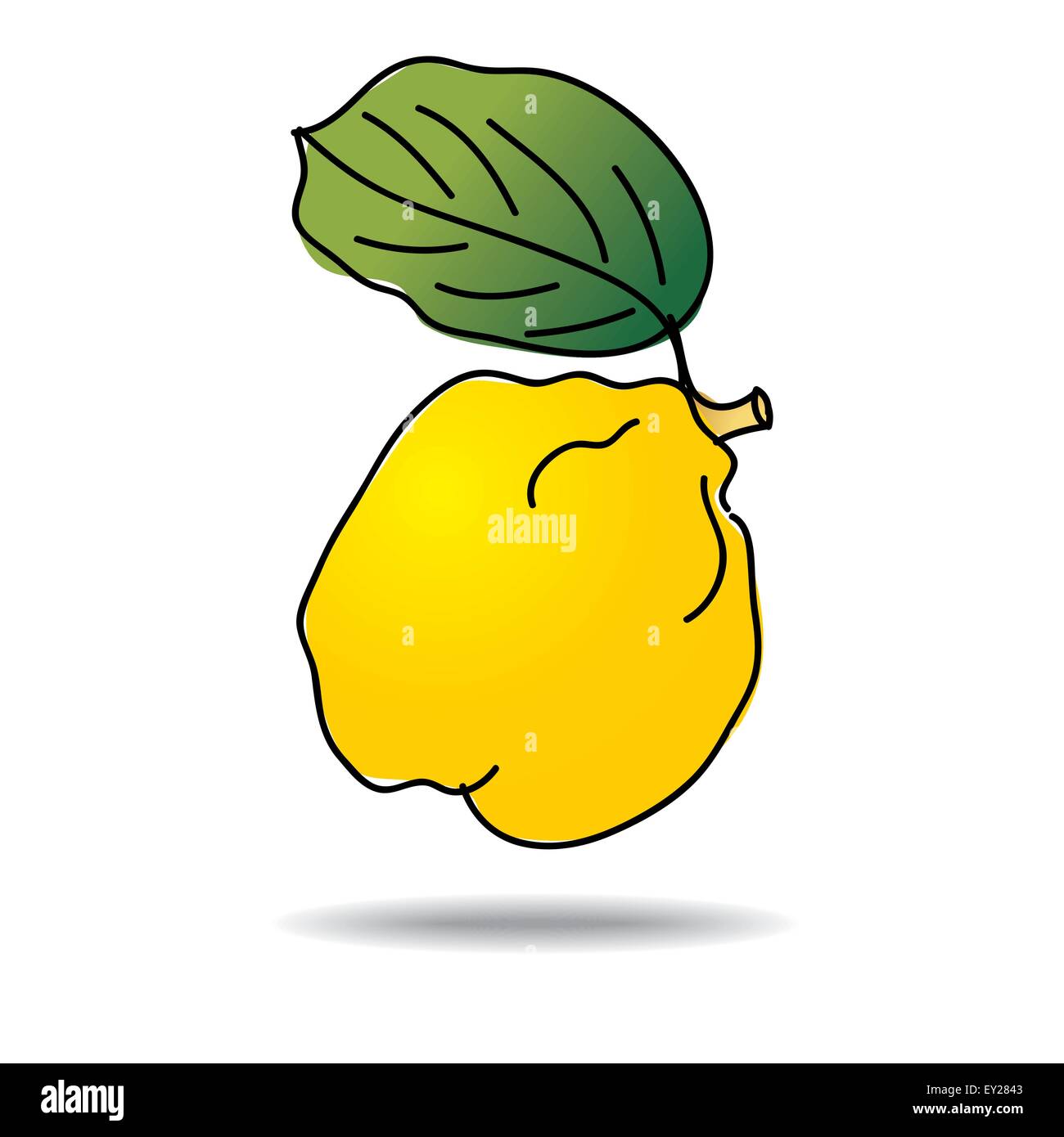 Dessin à main levée de l'icône de coing - vector illustration eps 10 ...