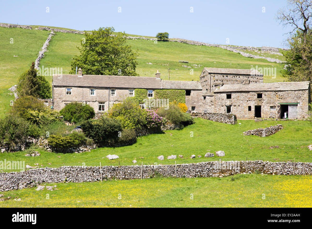 Ferme en pierre traditionnelle Dales Wharfdale, Yorkshire Dales National Park, North Yorkshire, England, UK Banque D'Images