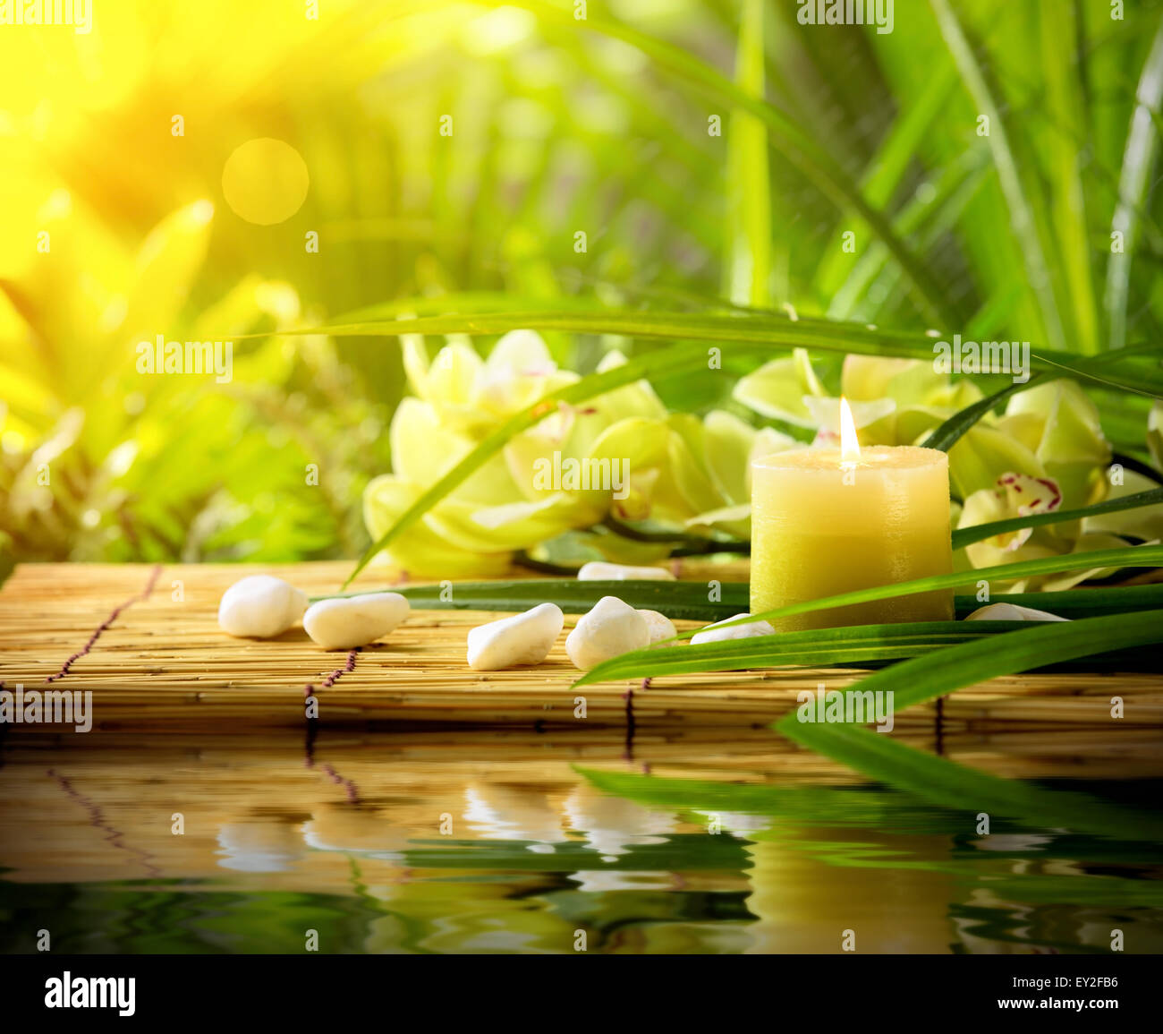 Still Life Spa avec une bougie,pierres et orchid sur bambou Banque D'Images Still Life Spa avec une bougie,pierres et orchid sur bambou Banque D'Images