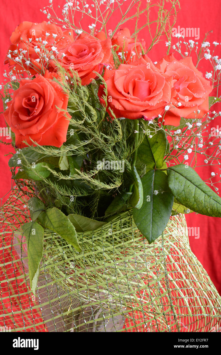 Roses rouges Valentine Banque D'Images