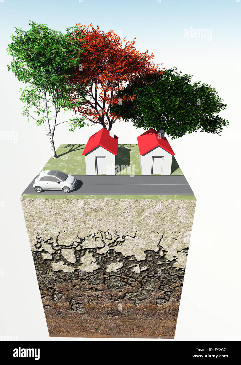 Un cube en 3D qui représente une section de terre avec maisons et arbres Banque D'Images