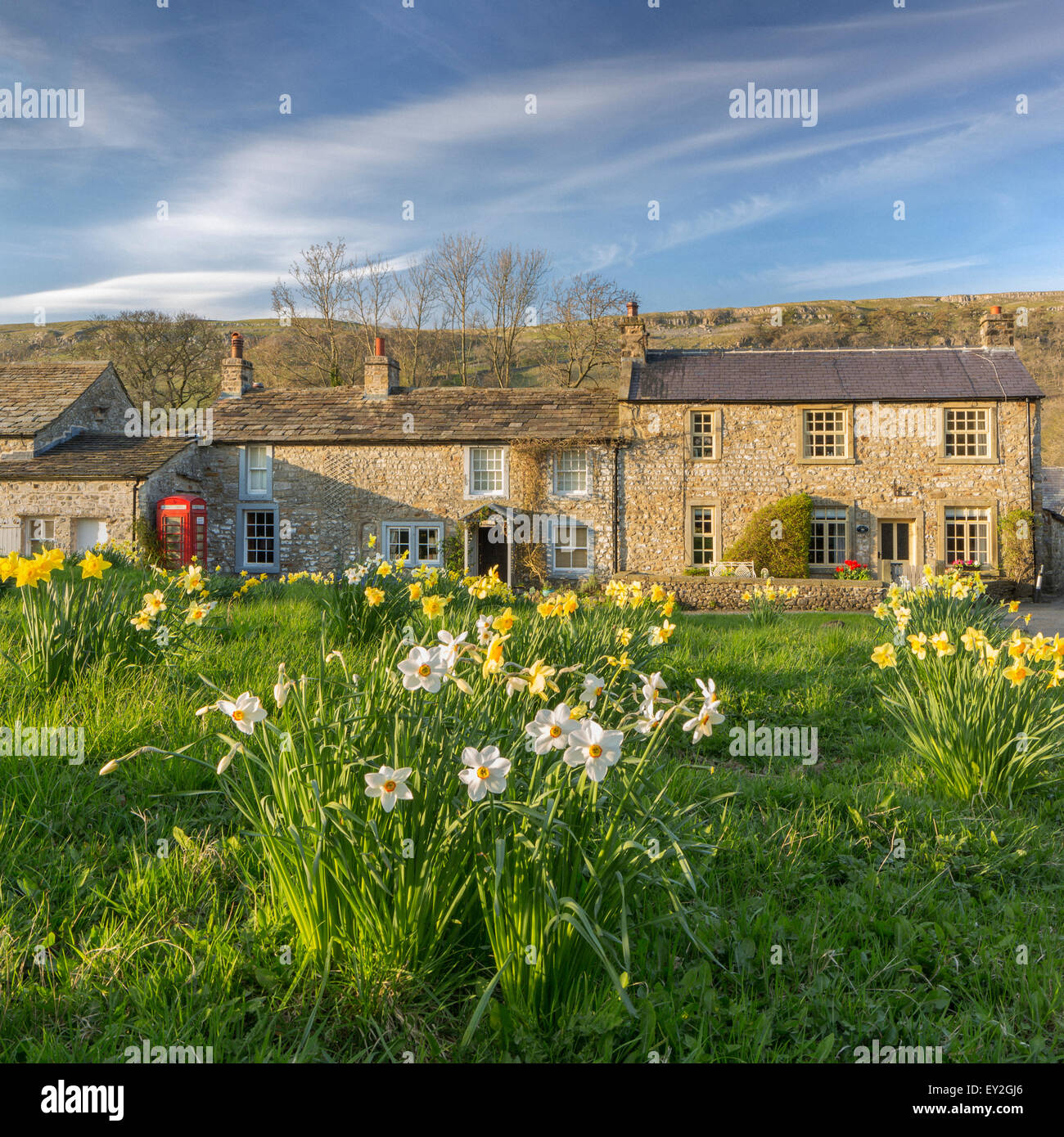 Cottages en pierre et des jonquilles à Arncliffe, Littondale, le Yorkshire Dales, avril 2015. Banque D'Images