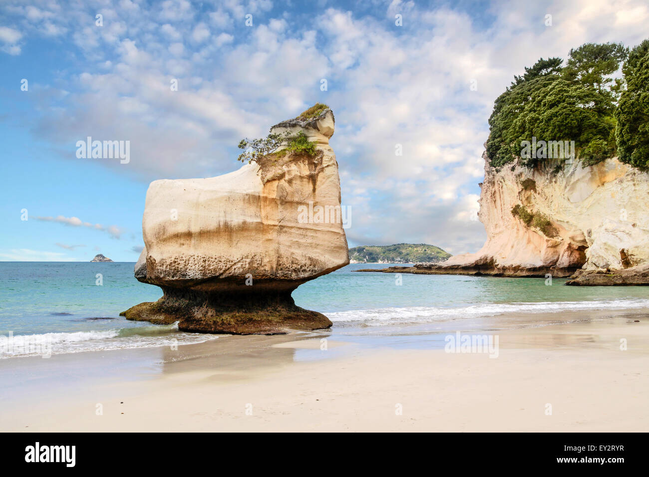 Côte près de la Cathedral Cove, Hahei, péninsule de Coromandel, Nouvelle-Zélande Banque D'Images