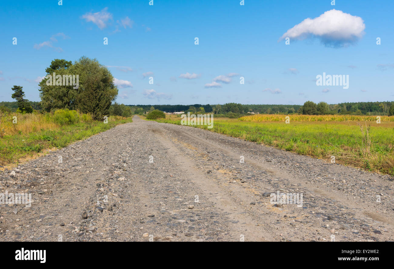 Macadam Country Road en zone rurale, l'Ukraine Banque D'Images