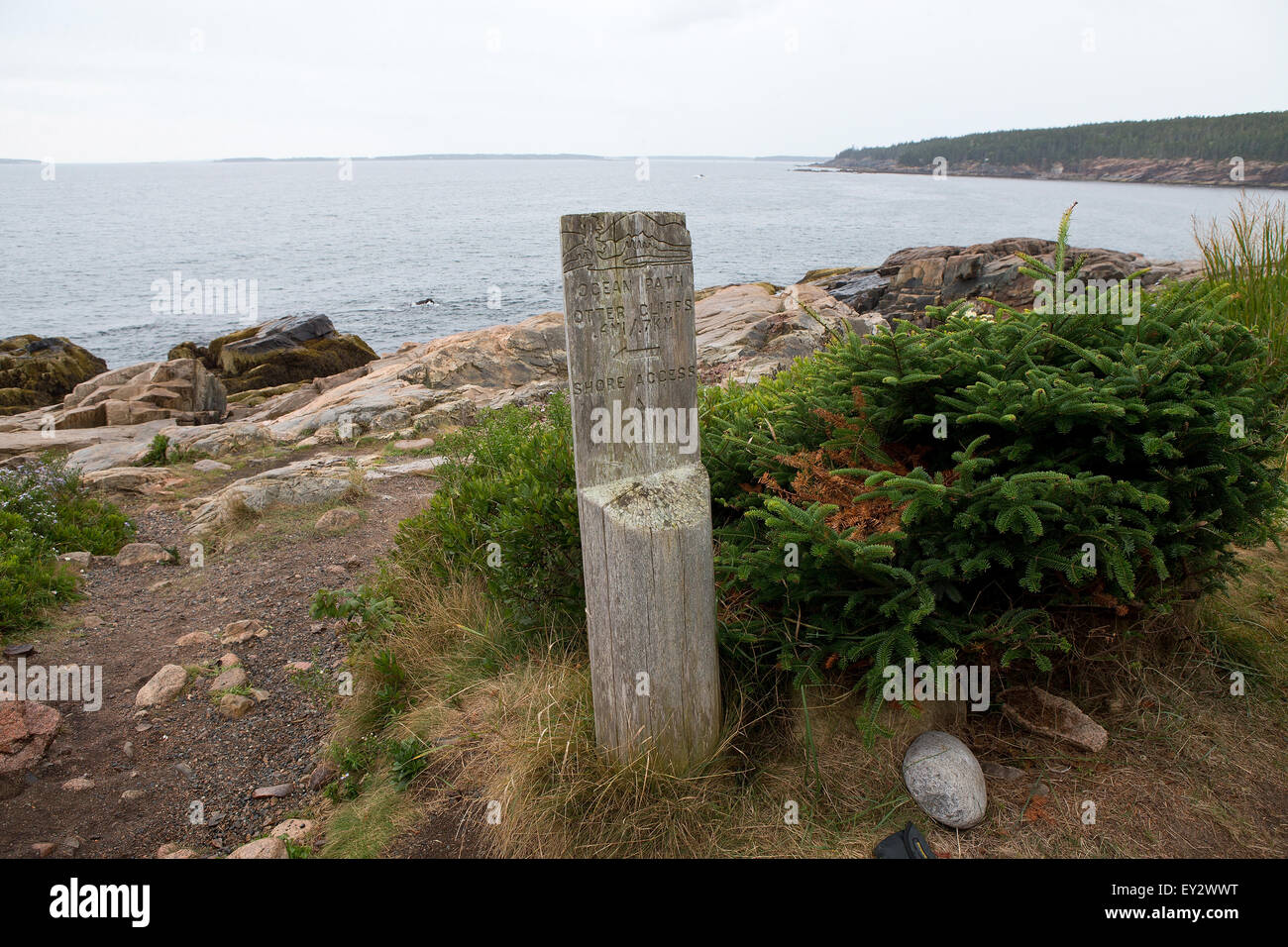 La pancarte "sentier Chemin de l'océan, l'Acadia National Park, Maine, États-Unis d'Amérique Banque D'Images