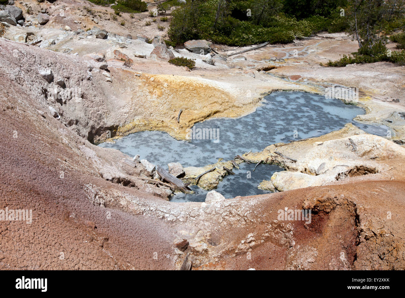 L'eau bouillante à Cuisine Devils, Lassen Volcanic National Park, California, United States of America Banque D'Images