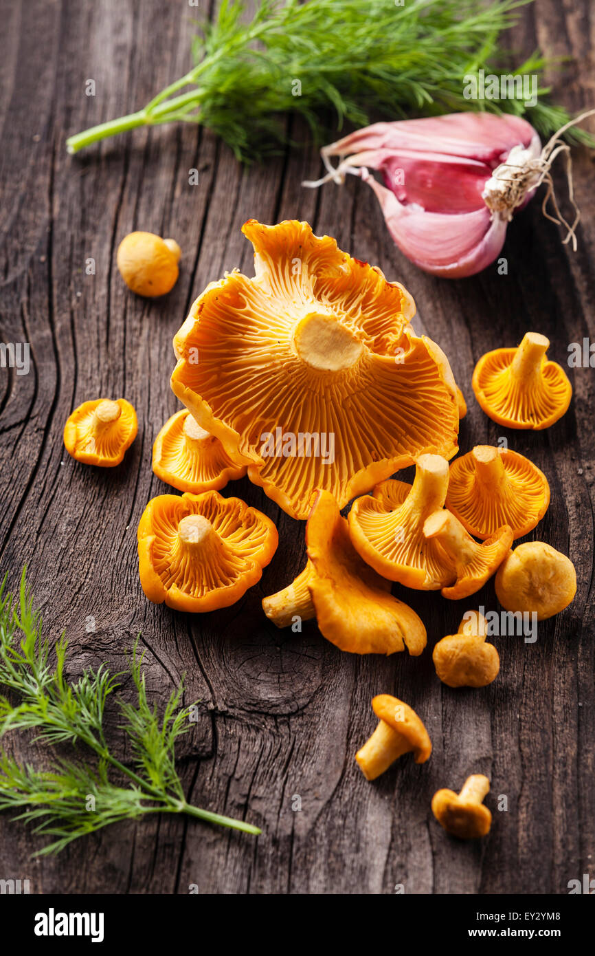 Chanterelles champignons sauvages crus avec de l'aneth et l'ail sur fond de texture en bois Banque D'Images