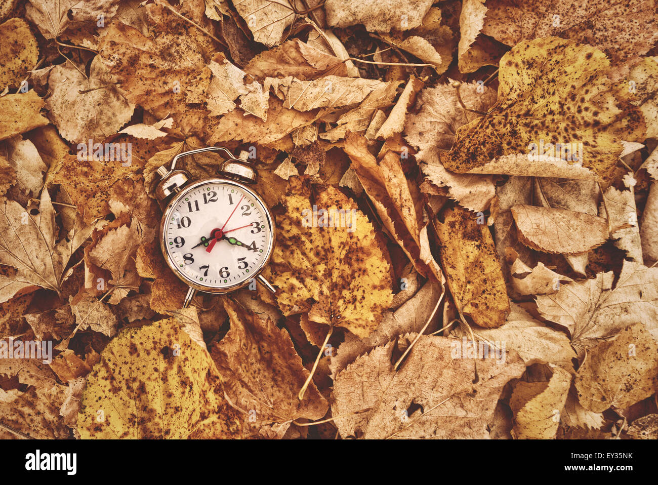 Vintage réveil en automne les feuilles sèches, passage du temps et la saison concept de changement. Selective focus, Vue du dessus Banque D'Images