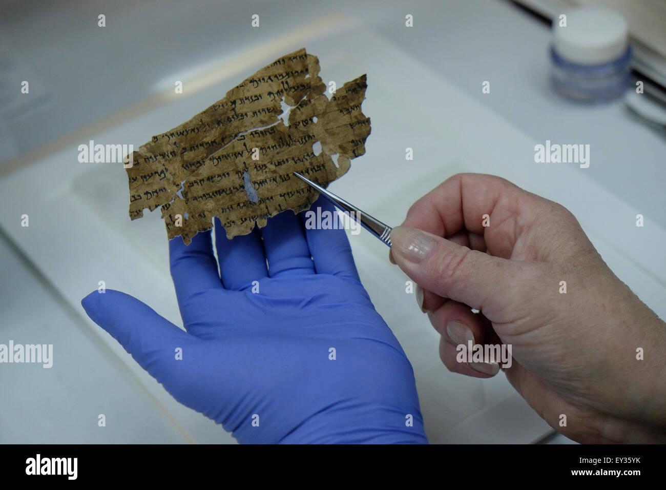 Un travailleur de l'Autorité des Antiquités d'Israël tient avec des brucelles un fragment de la mer Morte défile dans un laboratoire de préservation au Musée d'Israël à Jérusalem Israël Banque D'Images