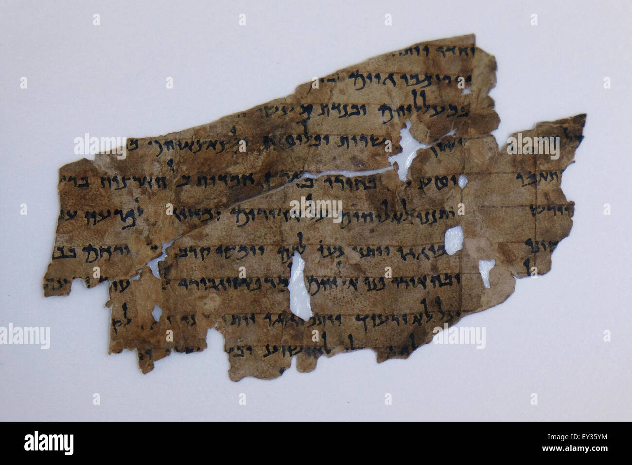 Fragment de la mer Morte défile dans un laboratoire de conservation Au Musée d'Israël à Jérusalem Israël Banque D'Images