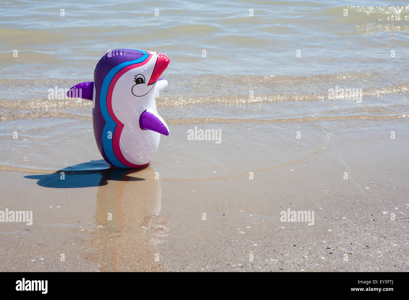 Dauphin baleine gonflable de couleur sur la plage par la mer Banque D'Images