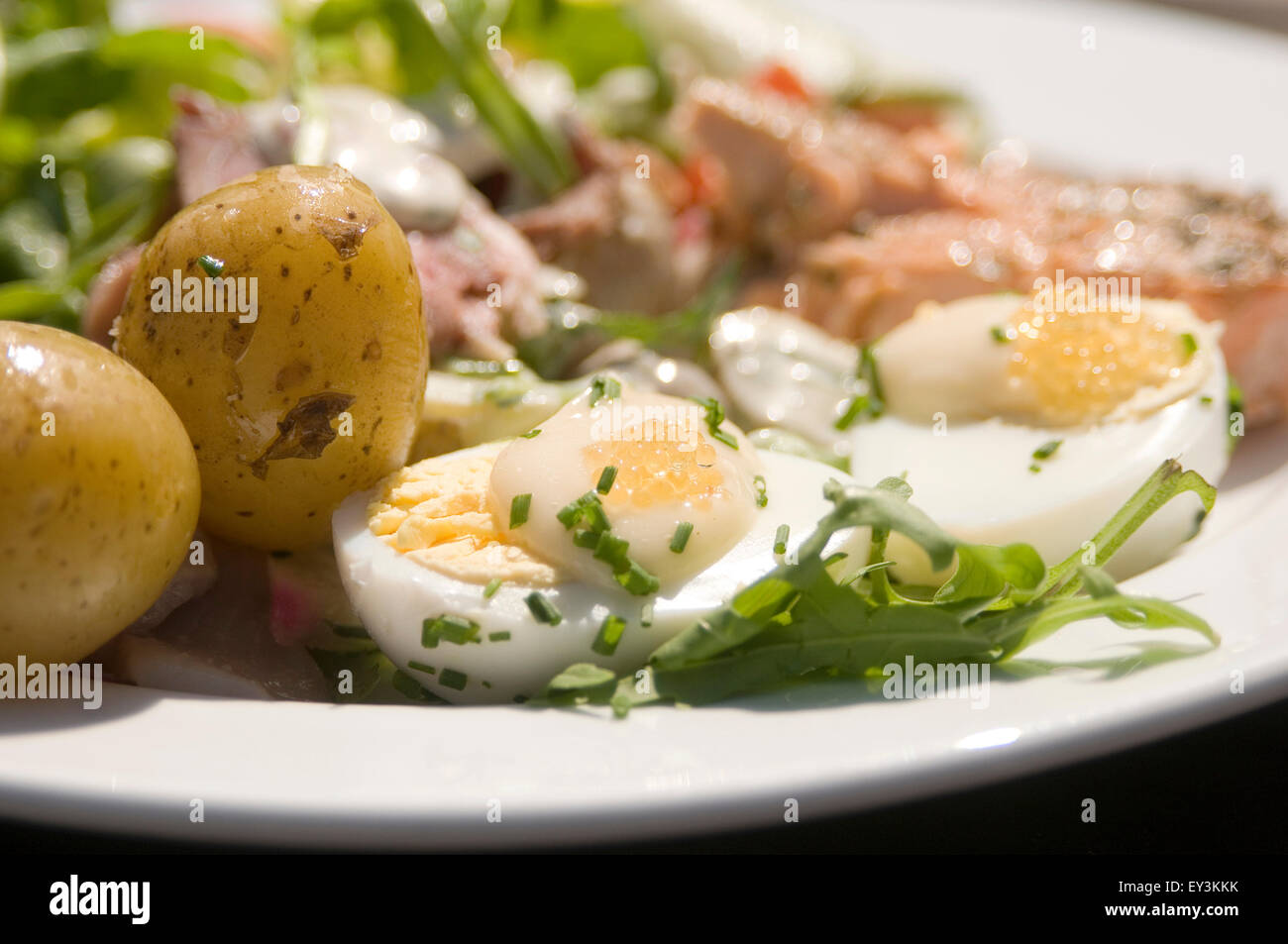 Régime alimentaire scandinaves Suède suédois régimes alimentaires d'huile de poisson fumée repas saumon oeuf dur oeufs Pommes de terre freah aliments santé huiles super s Banque D'Images