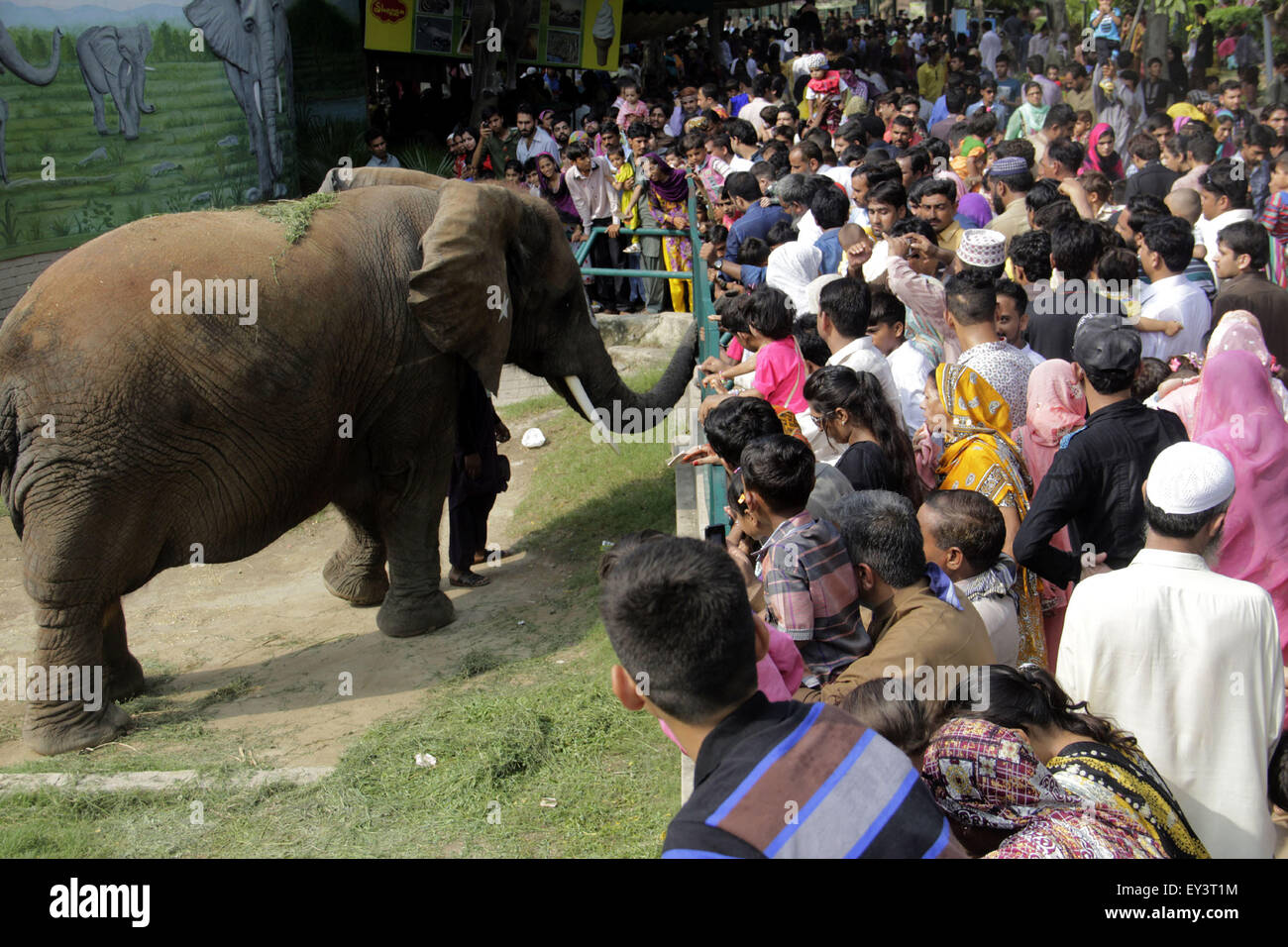 Lahore. 21 juillet, 2015. Suzi accueille les visiteurs à l'éléphant d'un zoo lors de l'Eid al-Fitr vacances dans l'est du Pakistan, Lahore, le 21 juillet 2015. © Jamil Ahmed/Xinhua/Alamy Live News Banque D'Images