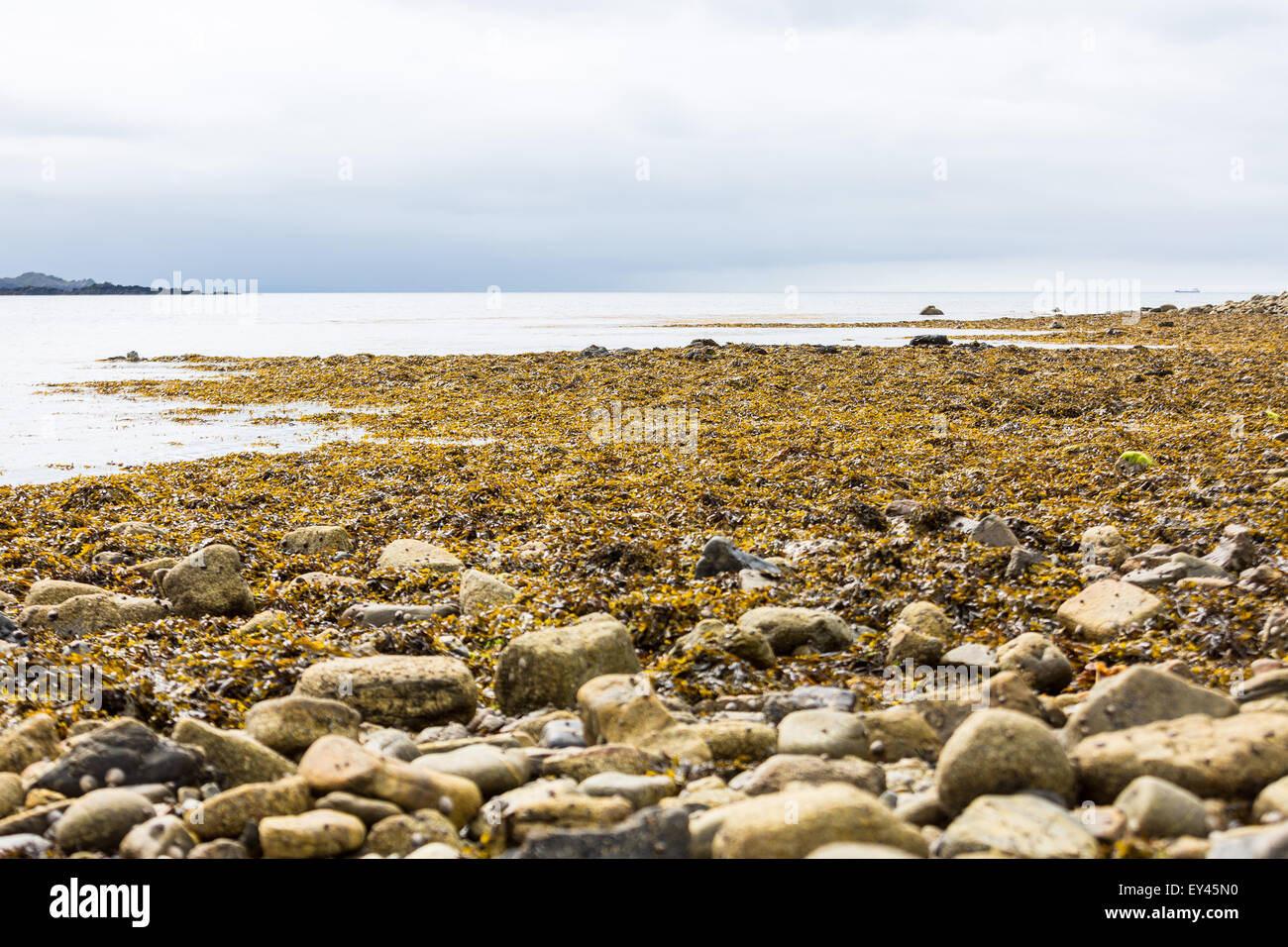 Marazion plage à marée basse en un jour brumeux, Cornwall, UK Banque D'Images