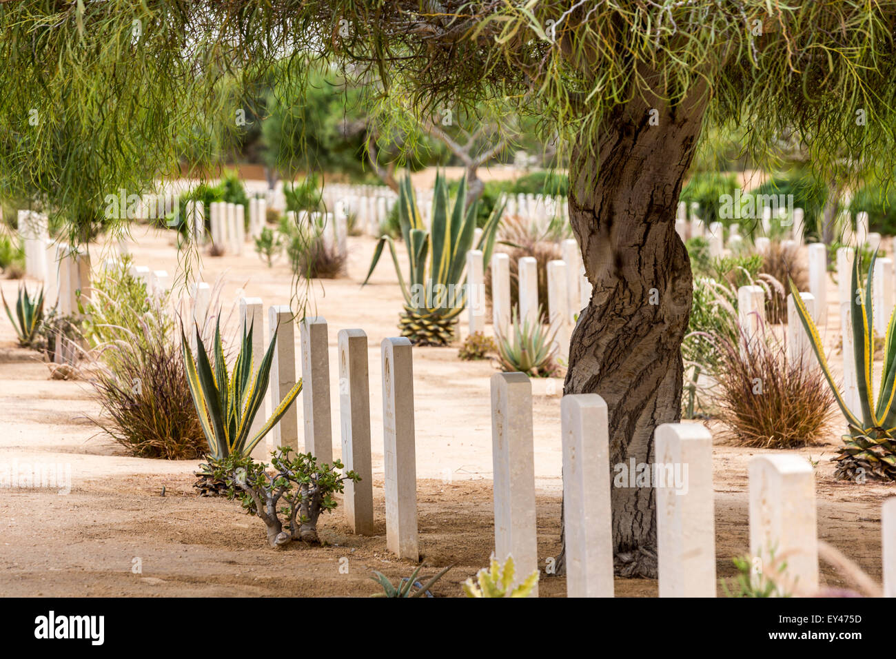 Rangées de tombes, alliés seconde guerre mondiale mémorial, El Alamein, en Égypte Banque D'Images