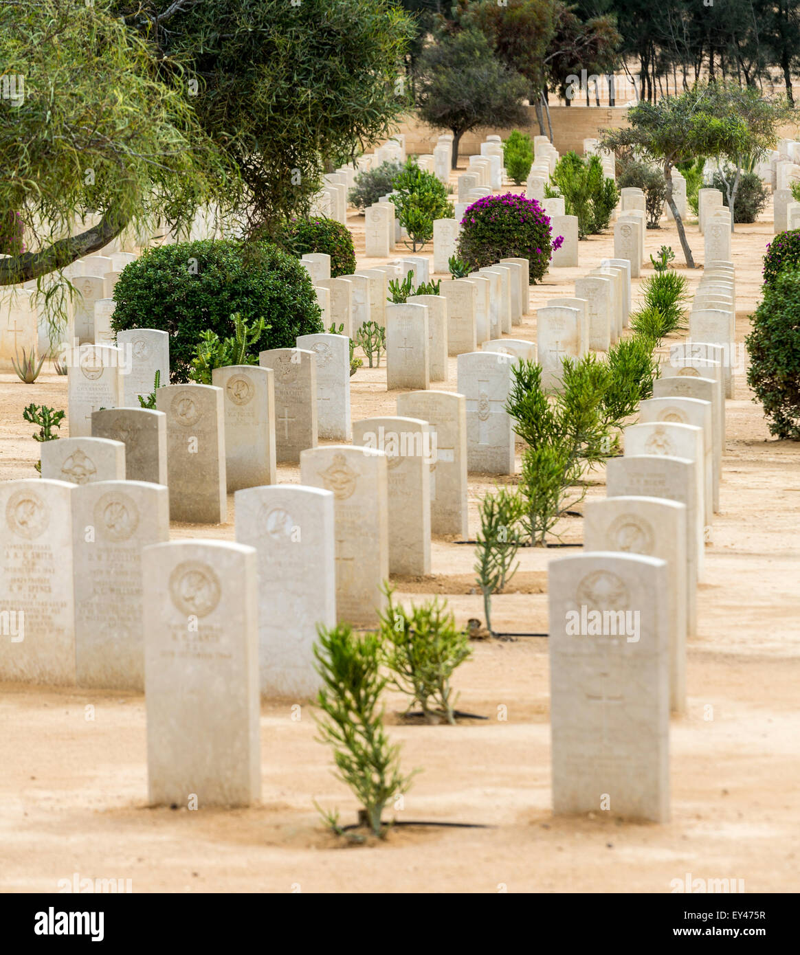 Rangées de tombes, alliés seconde guerre mondiale mémorial, El Alamein, en Égypte Banque D'Images