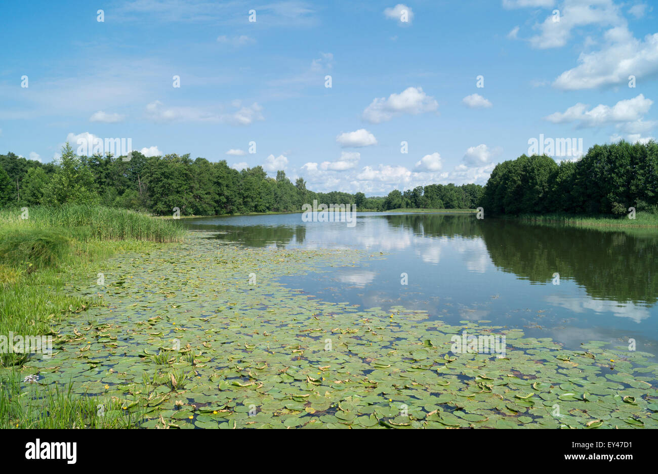 Paysage de l'année avec le type sur la rivière sur fond de ciel bleu Banque D'Images