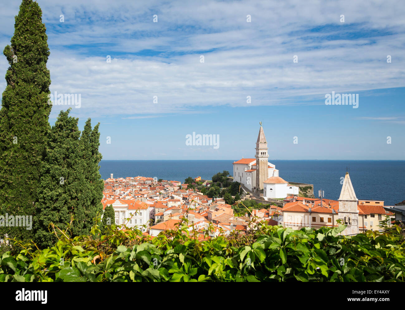 Piran, Slovénie Primorska,. Vue générale de la ville et de la cathédrale Saint Georges des murs de la ville. Banque D'Images