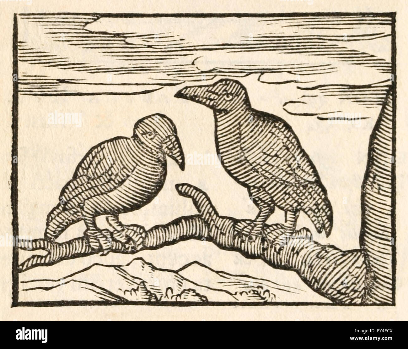 'Le Corbeau et le Corbeau' fable d'Ésope (vers 600 avant JC). 17e siècle gravure sur bois illustrant les Fables d'Ésope. Voir la description pour plus d'informations. Banque D'Images