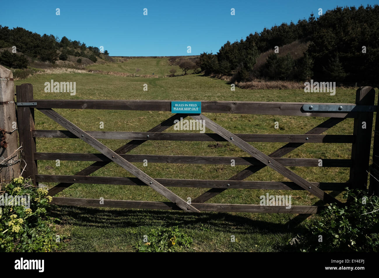 Méfiez-vous du taureau signe sur pays fence Banque D'Images