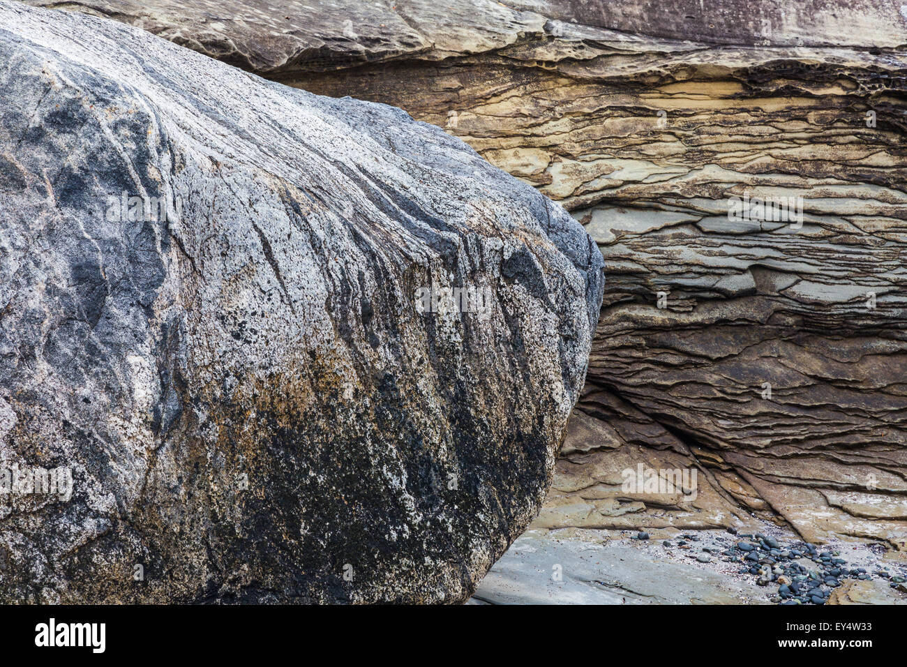 Grès à motifs abstraits sur les passeurs park beach sur l'île Protection, Colombie-Britannique Banque D'Images