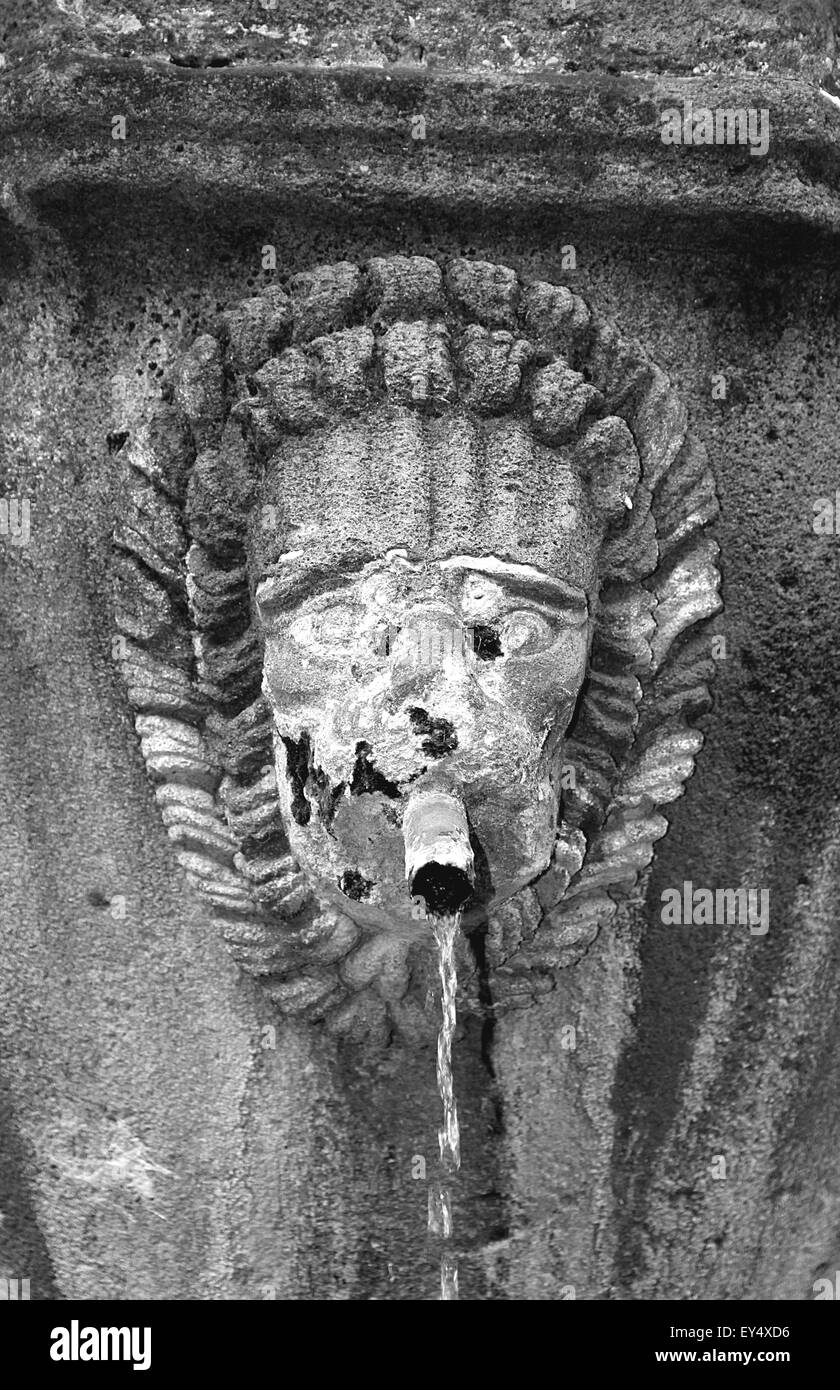 Fontaine publique à tête de lion à Viterbe, Italie Banque D'Images