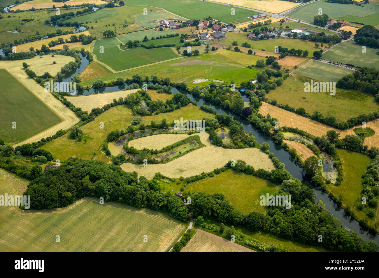 Lippeauen Meadows, méandres de la rivière Lippe, Bergkamen, Ruhr, Rhénanie du Nord-Westphalie, Allemagne Banque D'Images