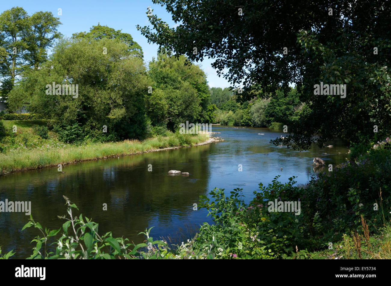 River Taff, Bute Park, Cardiff, Pays de Galles, Royaume-Uni. Banque D'Images