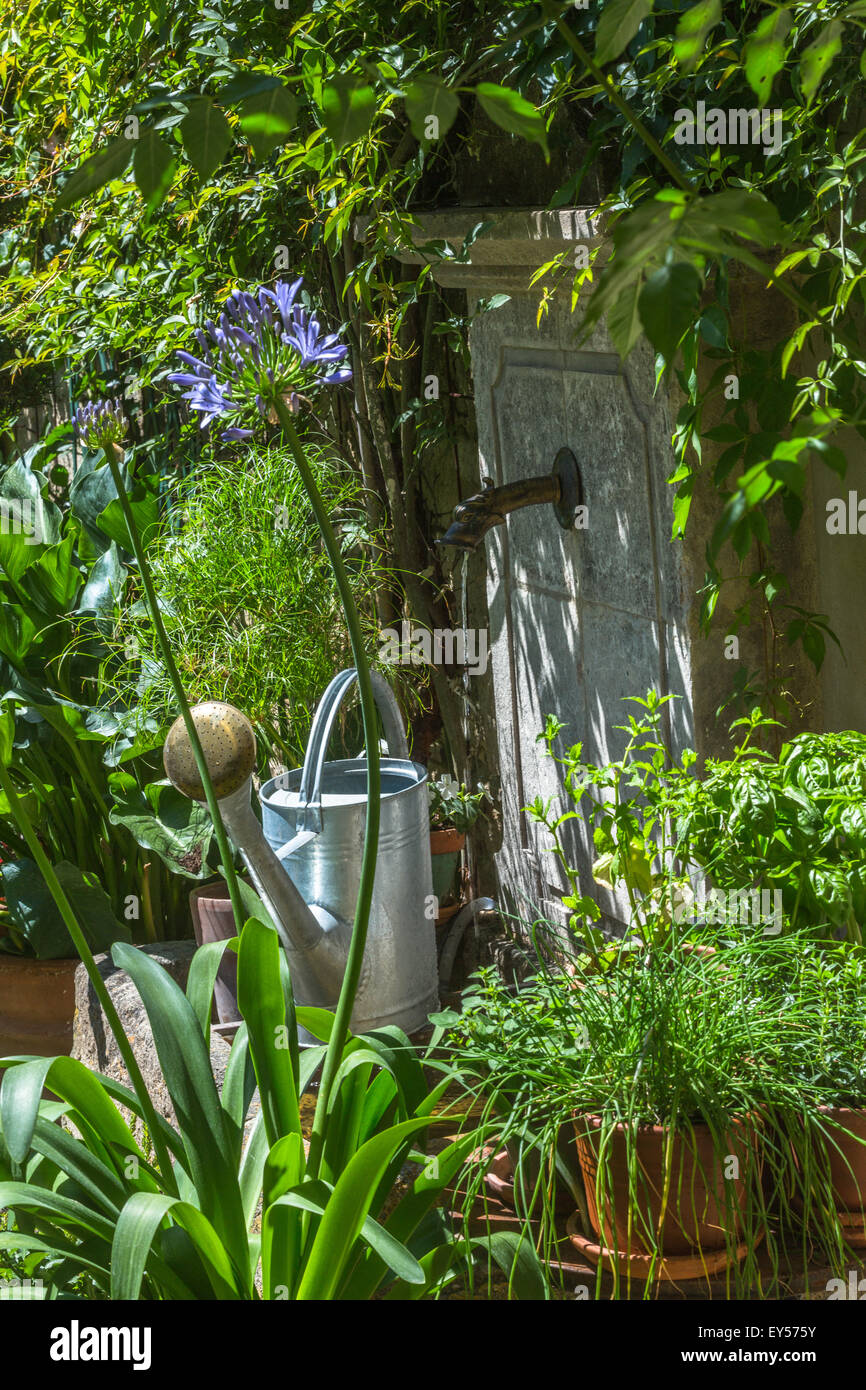 Fontaine de jardin et arrosoir Banque D'Images